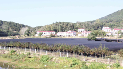 精品基地外景