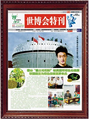 2010年参展上海世博会，是霍山石斛行业唯一参展企业